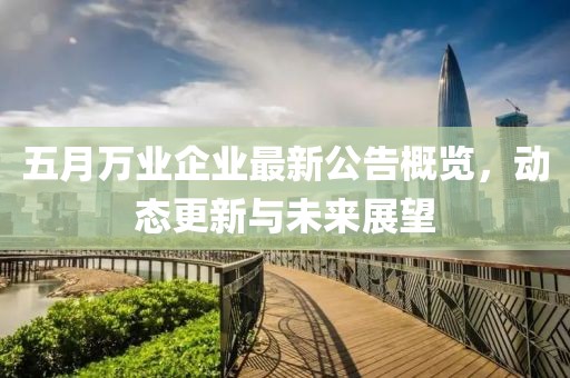 五月万业企业最新公告概览，动态更新与未来展望