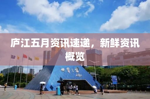 庐江五月资讯速递，新鲜资讯概览
