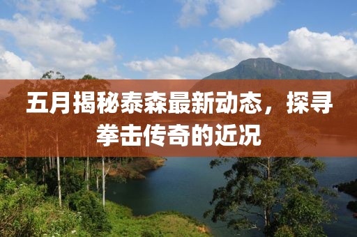 五月揭秘泰森最新动态，探寻拳击传奇的近况