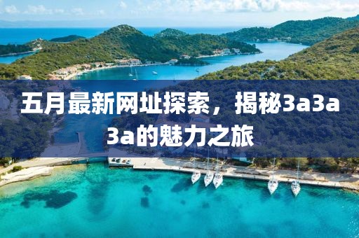 五月最新网址探索，揭秘3a3a3a的魅力之旅