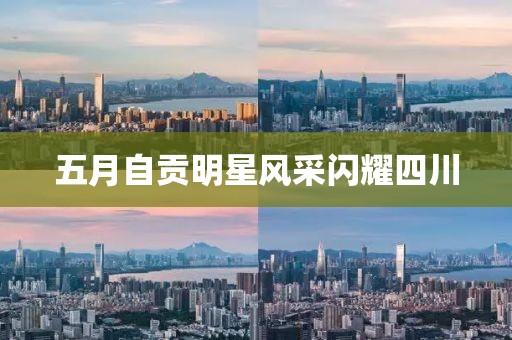 五月自贡明星风采闪耀四川