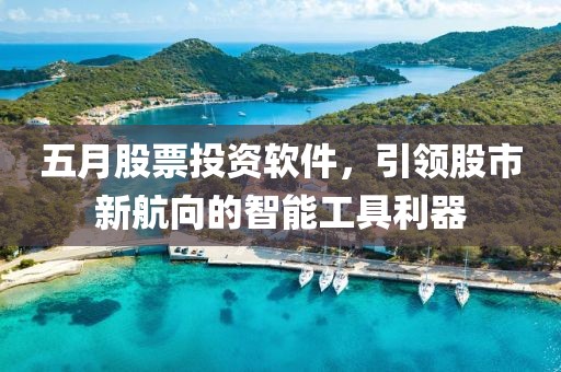 五月股票投资软件，引领股市新航向的智能工具利器