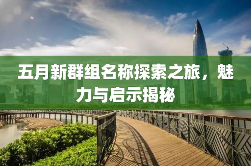 五月新群组名称探索之旅，魅力与启示揭秘