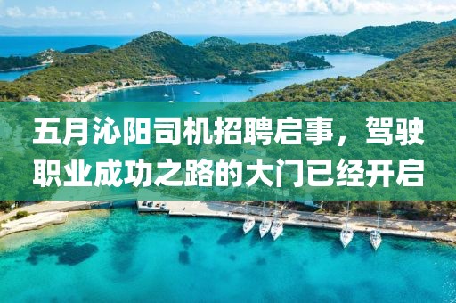 五月沁阳司机招聘启事，驾驶职业成功之路的大门已经开启