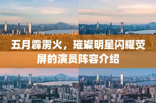 五月霹雳火，璀璨明星闪耀荧屏的演员阵容介绍
