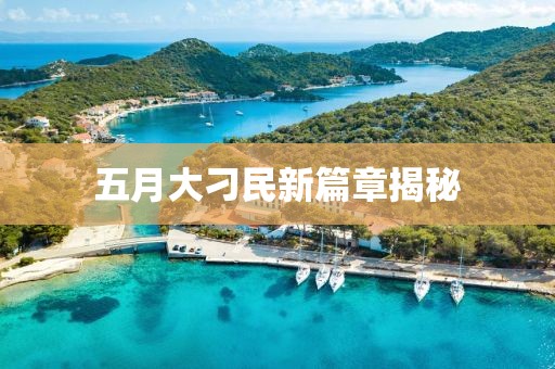 五月大刁民新篇章揭秘