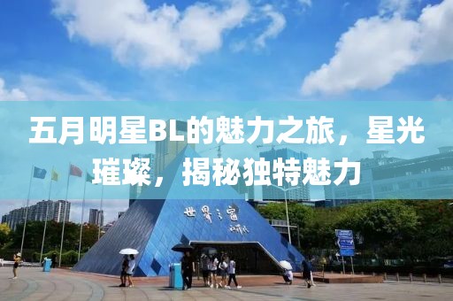 五月明星BL的魅力之旅，星光璀璨，揭秘独特魅力