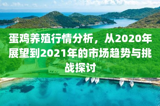 蛋鸡养殖行情分析，从2020年展望到2021年的市场趋势与挑战探讨