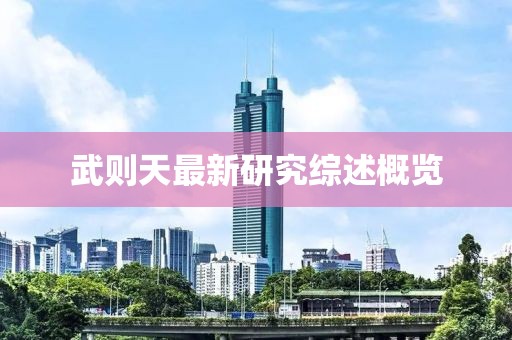 武则天最新研究综述概览