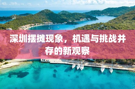 深圳摆摊现象，机遇与挑战并存的新观察